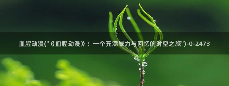 看动漫