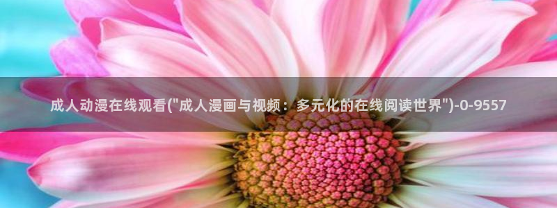 91动漫