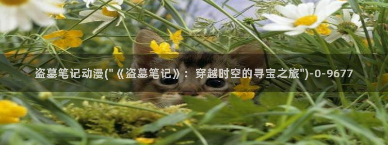 色情动漫