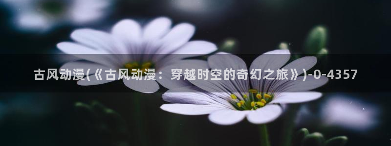 成人动漫